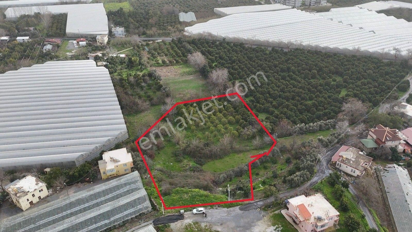 Demirtaş Mahallesi’nde Satılık 5.350 M² Narenciye Bahçesi Ve Tarla - Görsel 3