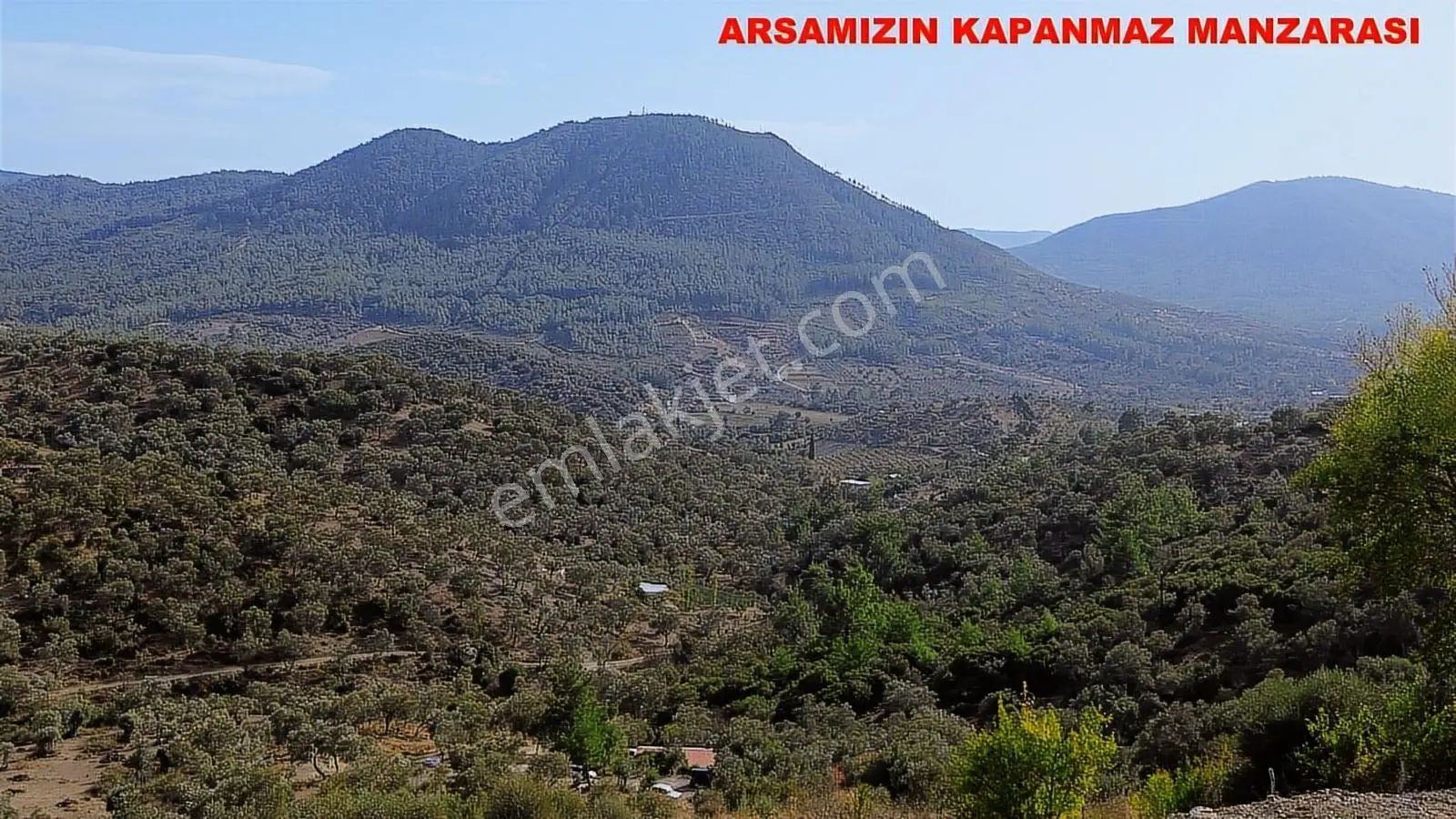 Seferihisar Orhanlı Da Eski Orhanlı Mevkii Köy İçi İmarlı