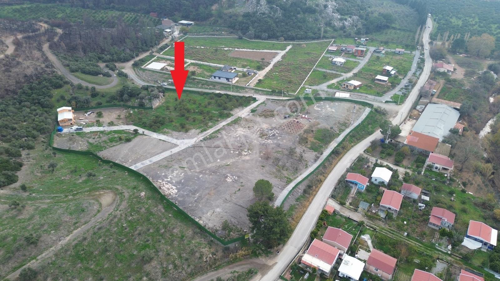Seferihisar Ürkmez Sınırında Mandalina Bahçesi Yatırım Fırsatı - Görsel 24