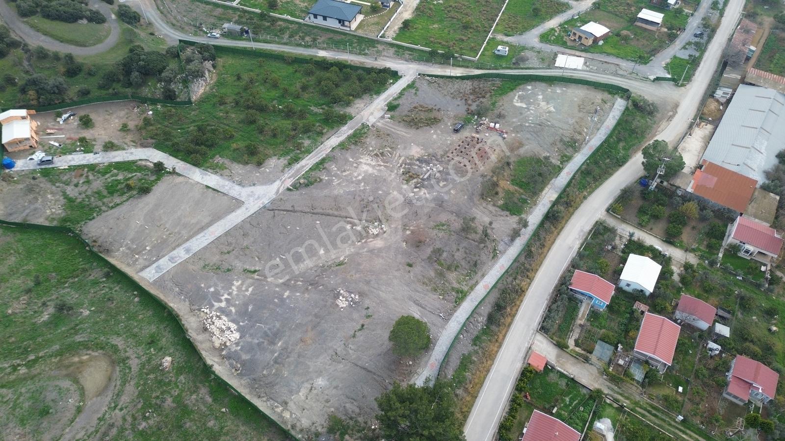 Seferihisar Ürkmez Sınırında Mandalina Bahçesi Yatırım Fırsatı - Görsel 22