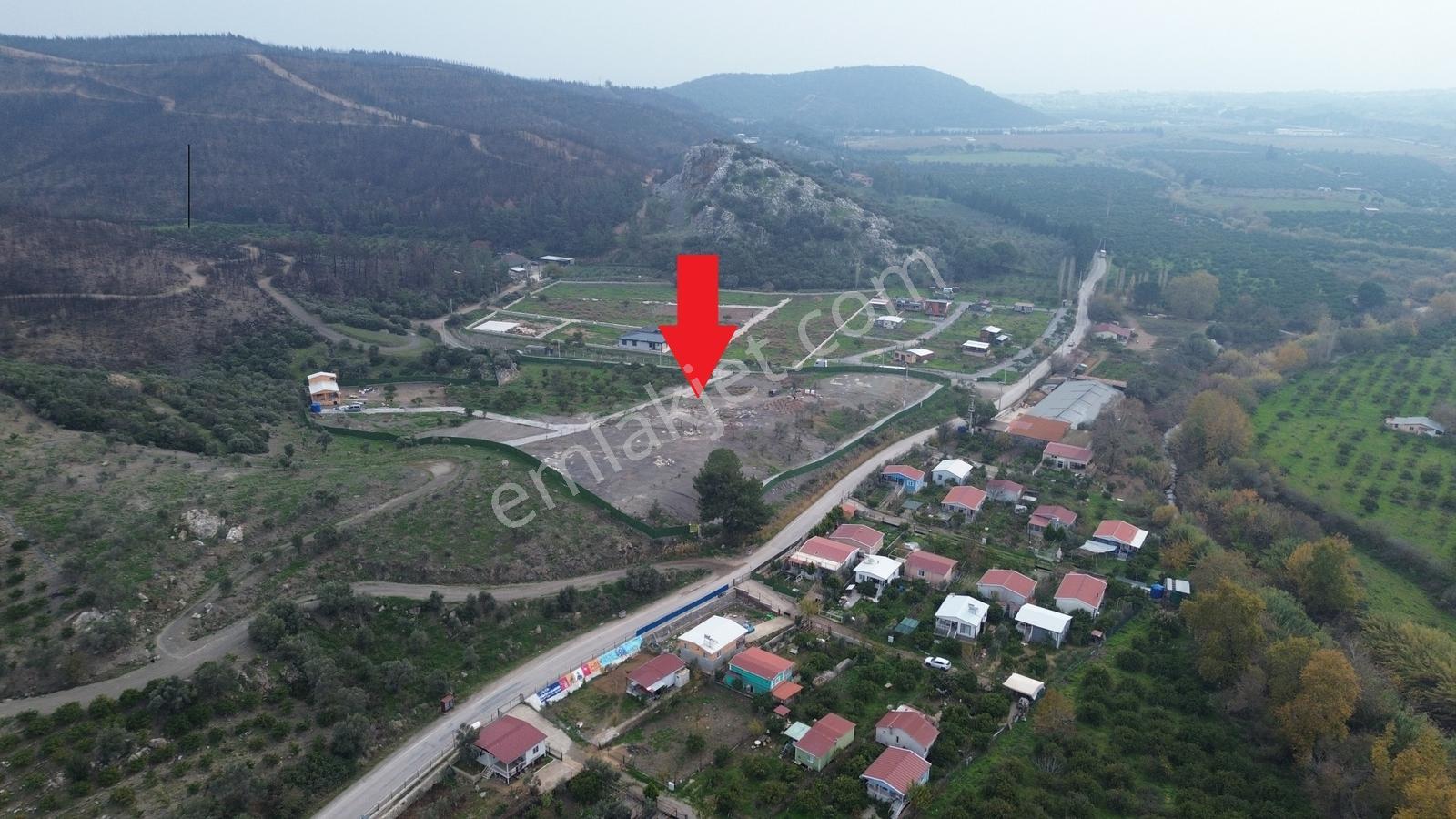 Seferihisar Ürkmez Sınırında Mandalina Bahçesi Yatırım Fırsatı