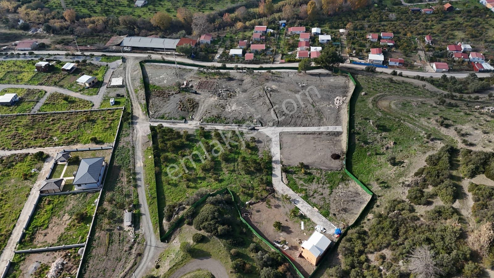 Seferihisar Ürkmez Sınırında Mandalina Bahçesi Yatırım Fırsatı - Görsel 14