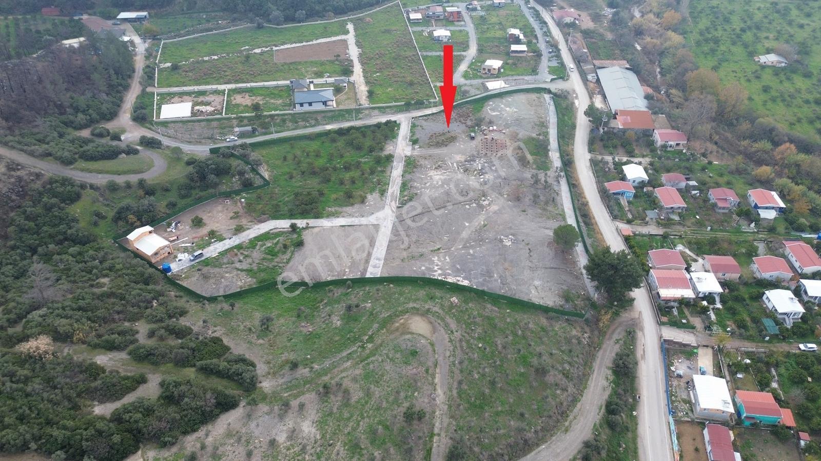 Seferihisar Ürkmez Sınırında Mandalina Bahçesi Yatırım Fırsatı - Görsel 23