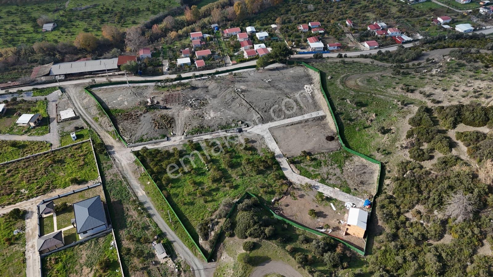 Seferihisar Ürkmez Sınırında Mandalina Bahçesi Yatırım Fırsatı - Görsel 25