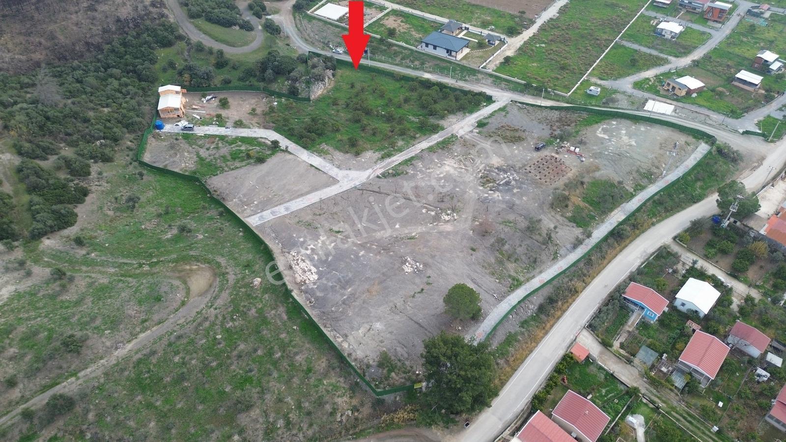 Seferihisar Ürkmez Sınırında Mandalina Bahçesi Yatırım Fırsatı - Görsel 11