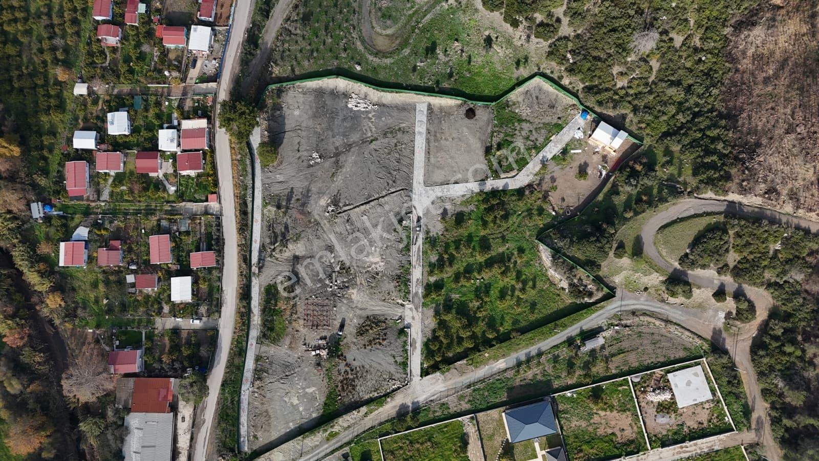 Seferihisar Ürkmez Sınırında Mandalina Bahçesi Yatırım Fırsatı - Görsel 4