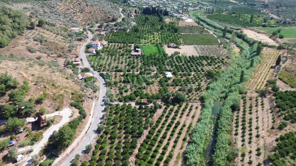 Seferihisar Kavakdere De 20 Villalık Arsa 4 Parsel Birden - Görsel 3
