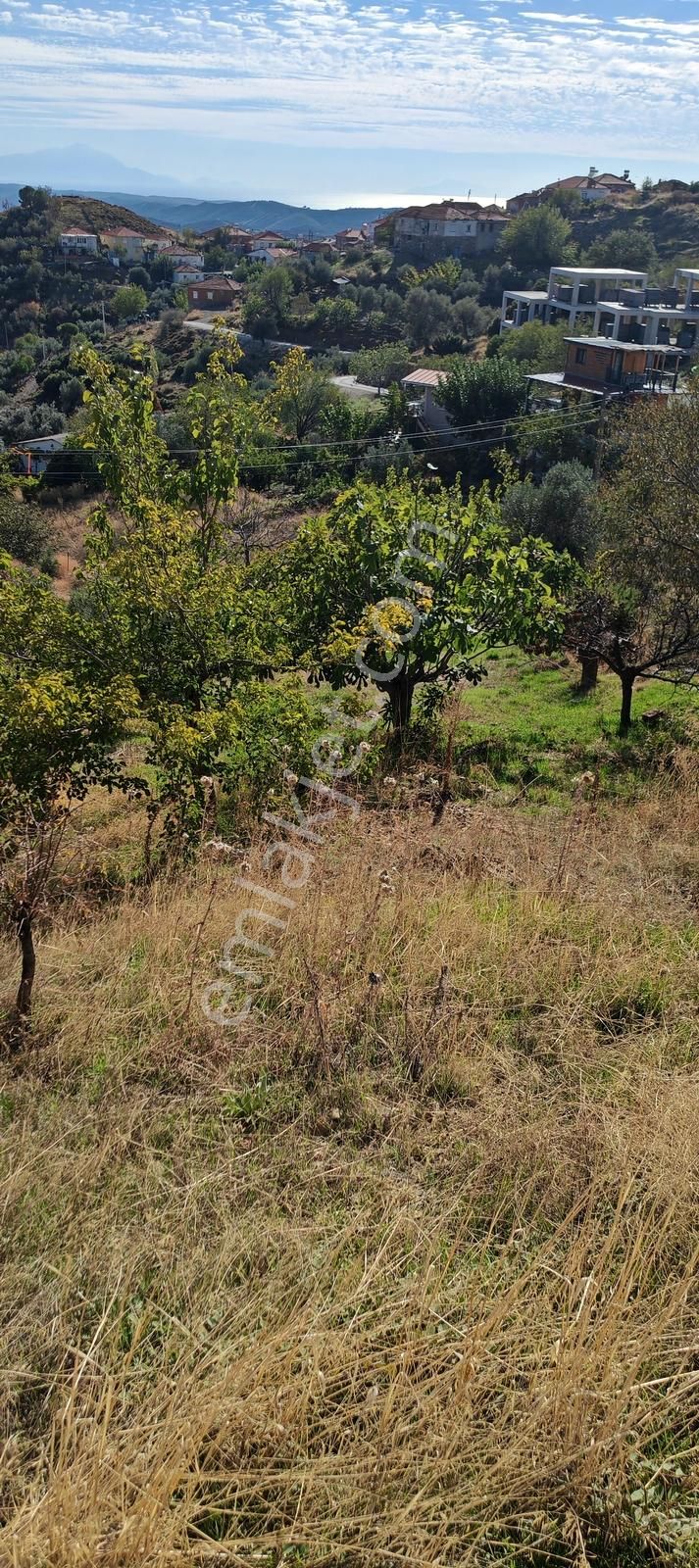 Seferihisar Beyler De Deniz Manzaralı Yerleşim Yanı Arsa - Görsel 2