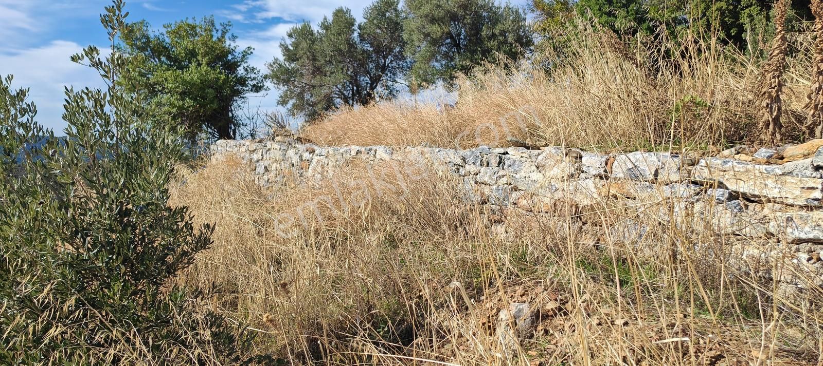 Seferihisar Beyler De Deniz Manzaralı Yerleşim Yanı Arsa - Görsel 17