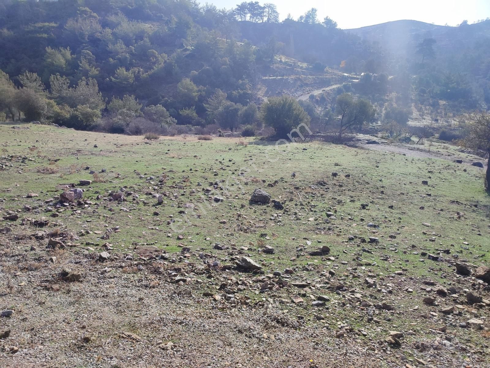 Seferihisar Beylerde Kafa Dinlemelik Konut Yapılabilecek Arsa - Görsel 11