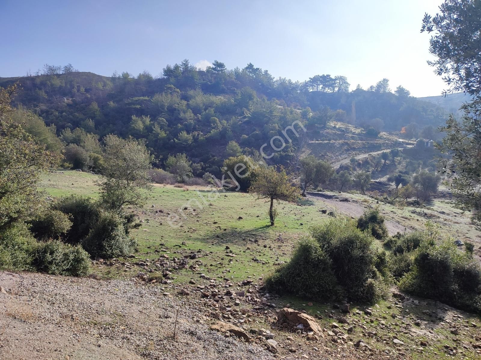 Seferihisar Beylerde Kafa Dinlemelik Konut Yapılabilecek Arsa - Görsel 3