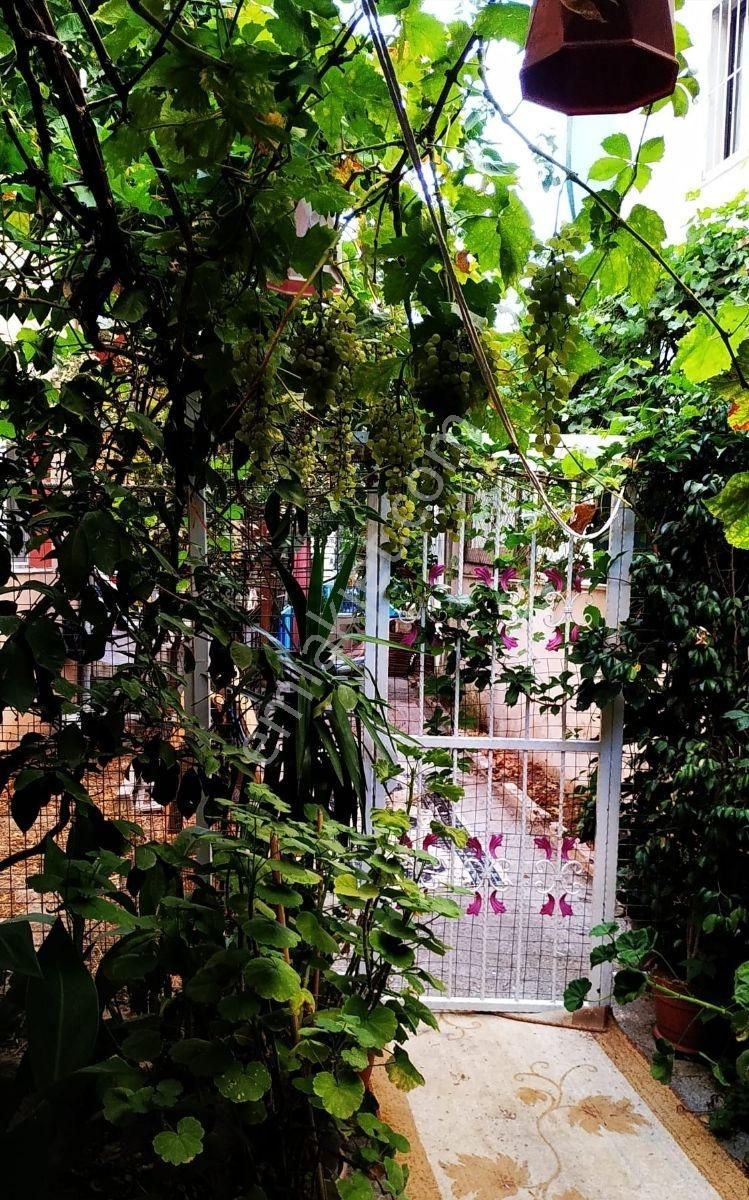 Seferihisar Ürkmez 2+1 Denize 100 M. - Görsel 11