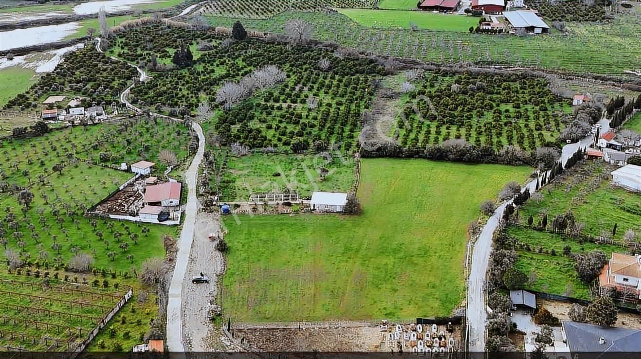 Seferihisar Köy İçerisinde Elektirigi Suyu Olan Fırsat Arsa - Görsel 3