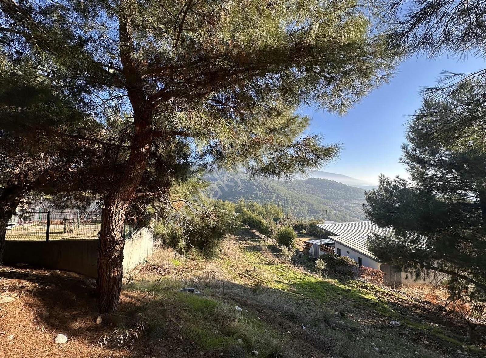 Kemalpaşa Kuyucak Satılık 2095m2 Arsa İçinde Müstakil Ev - Görsel 22
