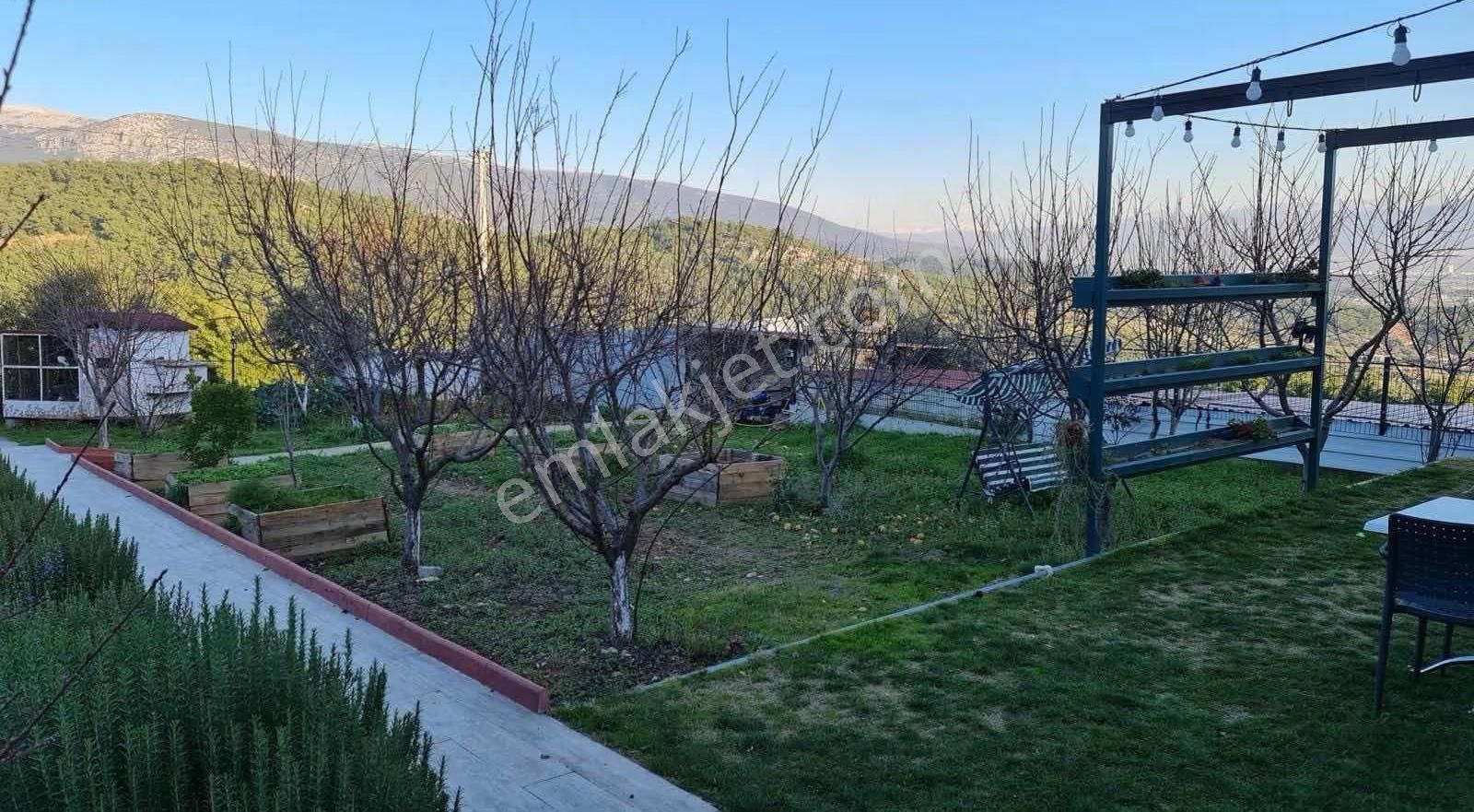 Kemalpaşa Kuyucak Satılık 2095m2 Arsa İçinde Müstakil Ev - Görsel 15