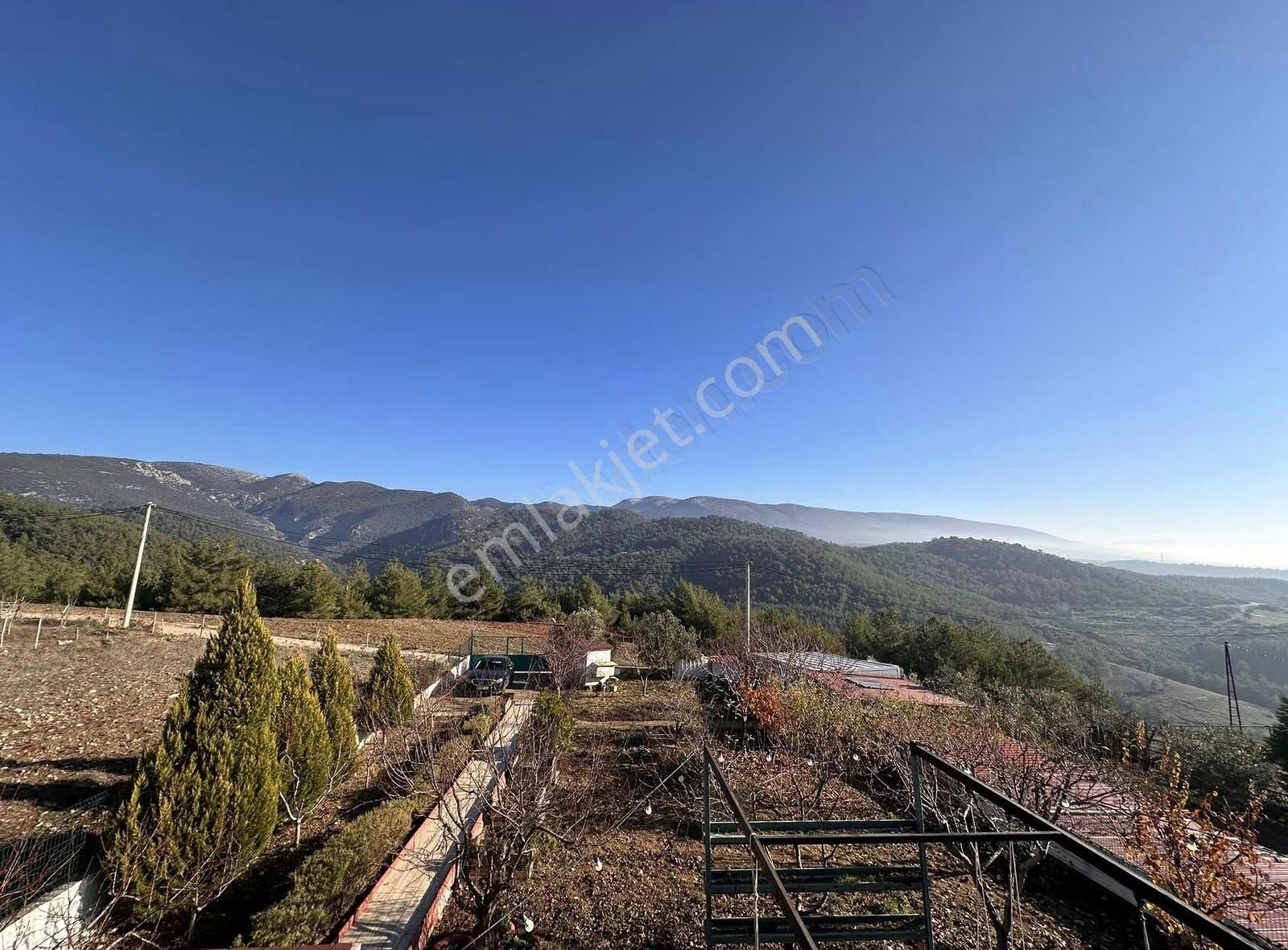 Kemalpaşa Kuyucak Satılık 2095m2 Arsa İçinde Müstakil Ev