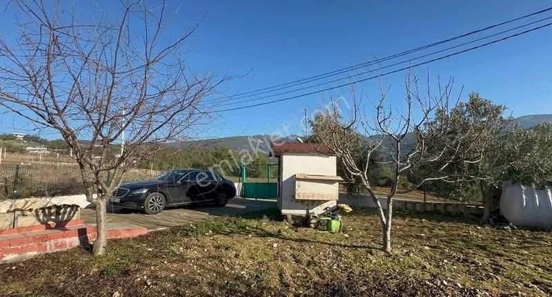 Kemalpaşa Kuyucak Satılık 2095m2 Arsa İçinde Müstakil Ev - Görsel 27