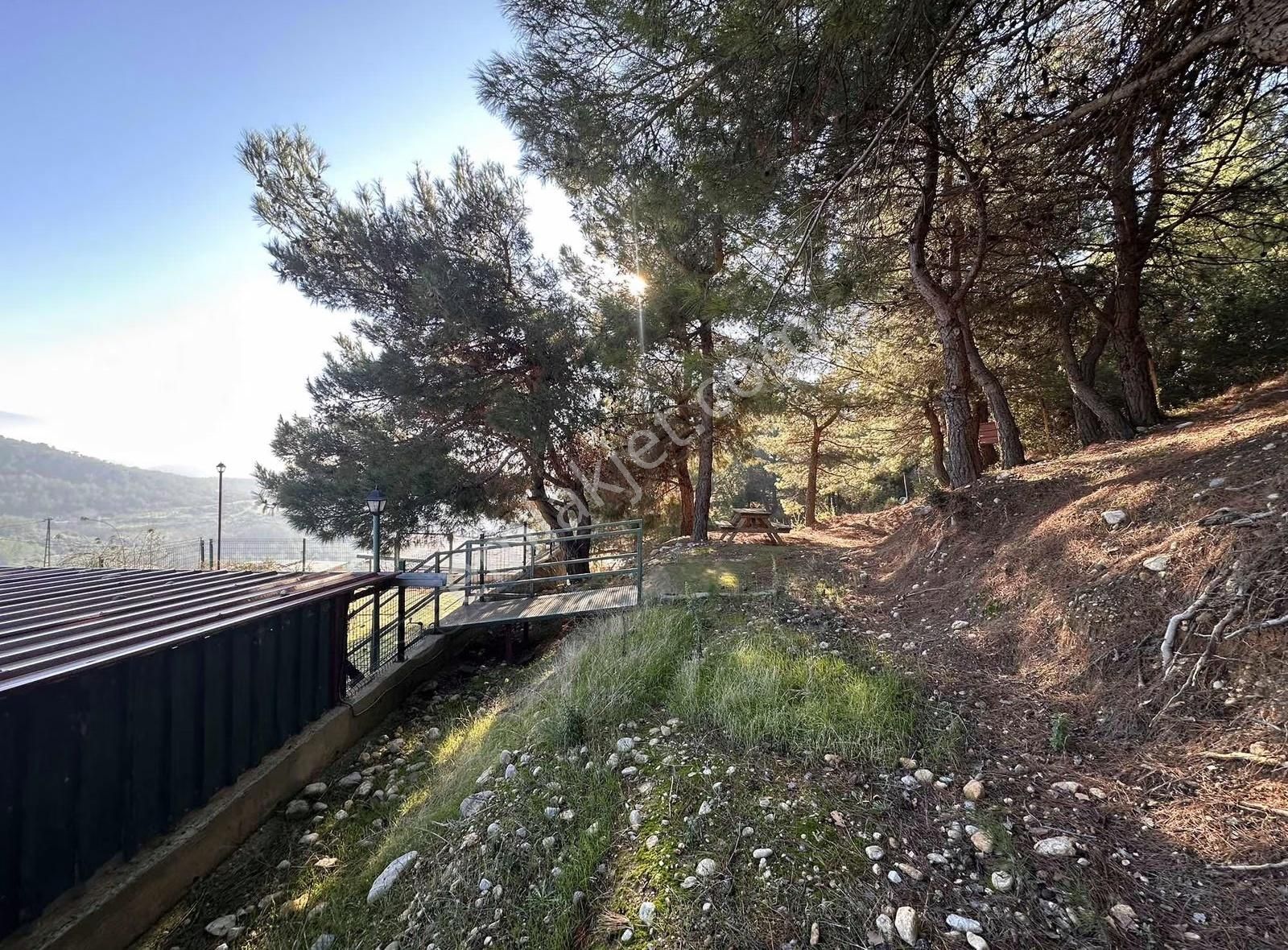 Kemalpaşa Kuyucak Satılık 2095m2 Arsa İçinde Müstakil Ev - Görsel 33