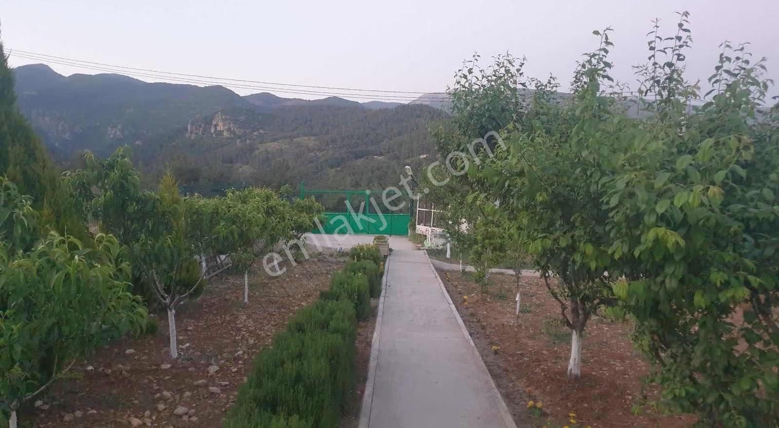 Kemalpaşa Kuyucak Satılık 2095m2 Arsa İçinde Müstakil Ev - Görsel 31