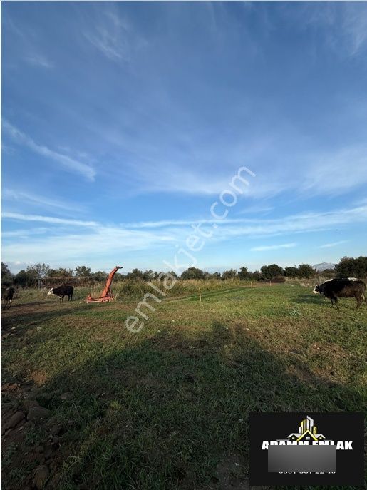 Satılık Tarla - Görsel 7