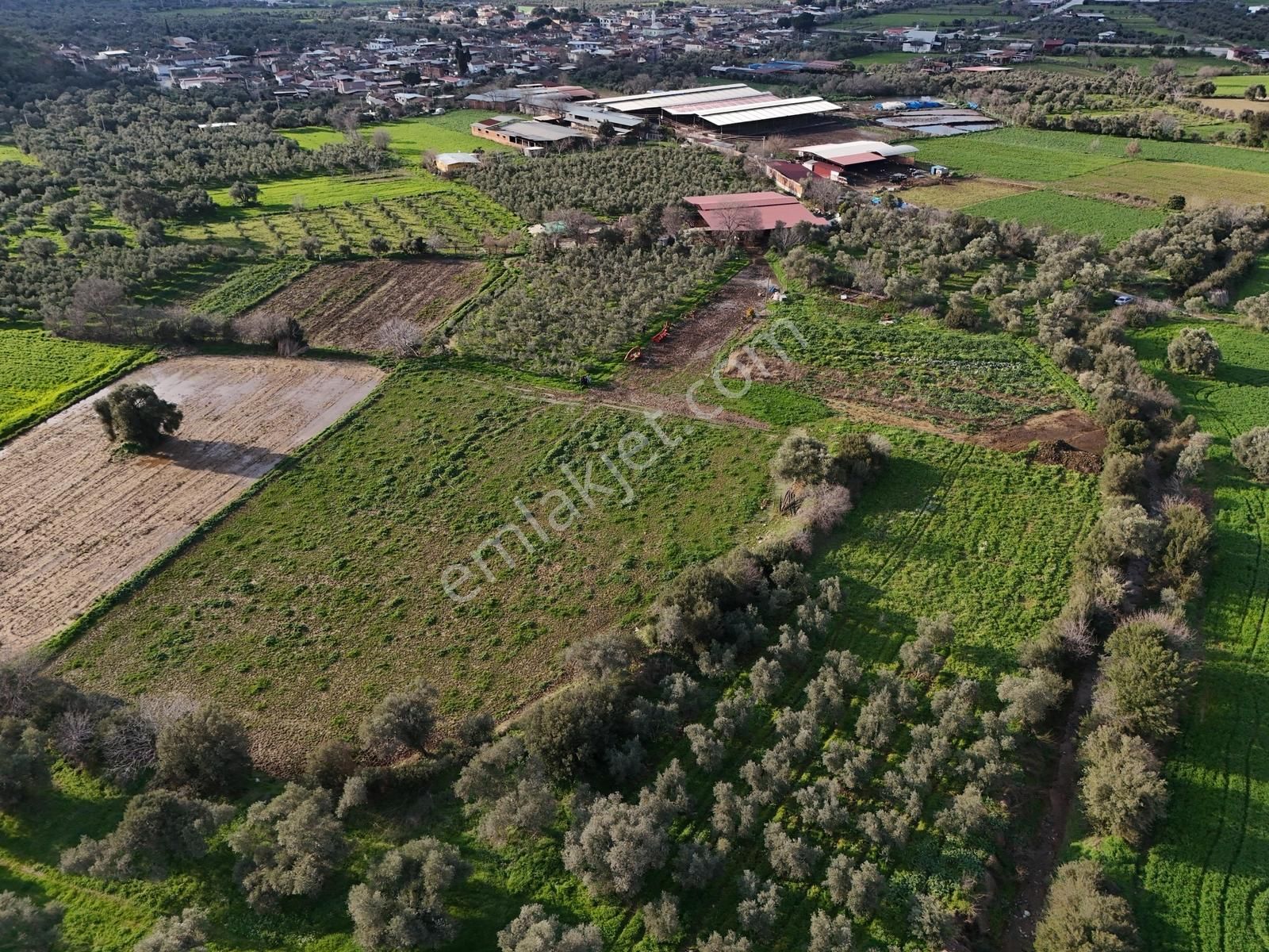 Satılık Tarla - Görsel 6