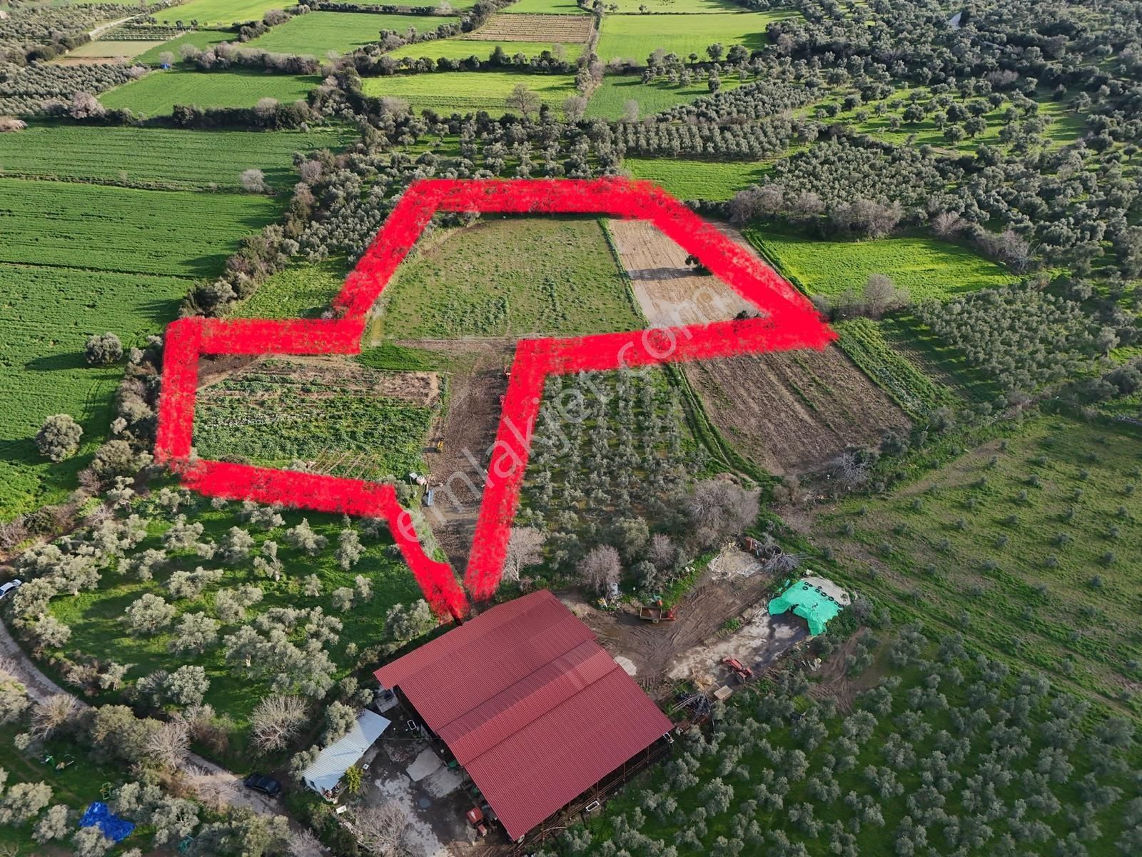 Satılık Tarla - Görsel 4