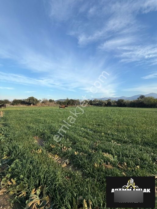 Satılık Tarla - Görsel 2