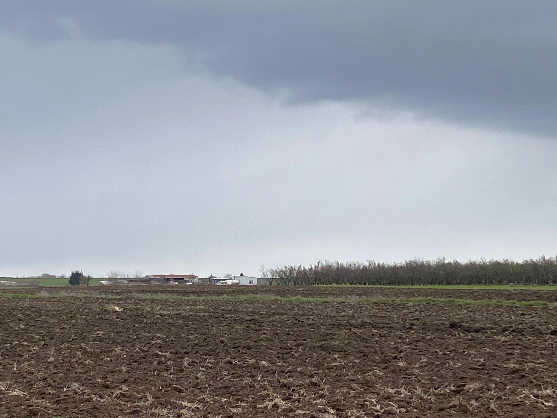 Sahibinden Tekirdağ Pınarbaşında 1530 M² Tek Tapu Tarla - Görsel 4