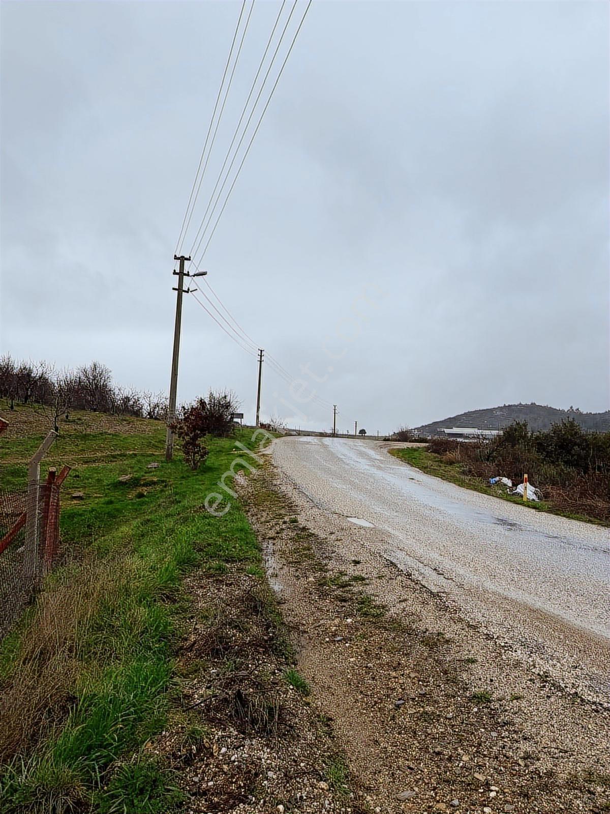 Ayvacık Mahallesinde Satılık! Yol Girişinde Arazi - Görsel 4