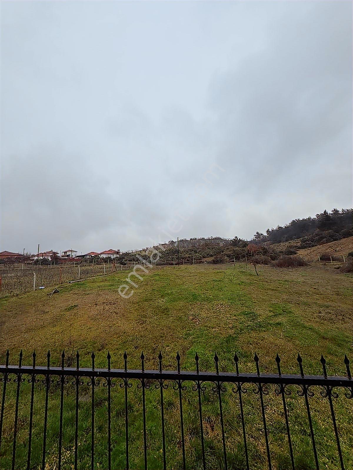 Ayvacık Mahallesinde Satılık! Yol Girişinde Arazi - Görsel 10
