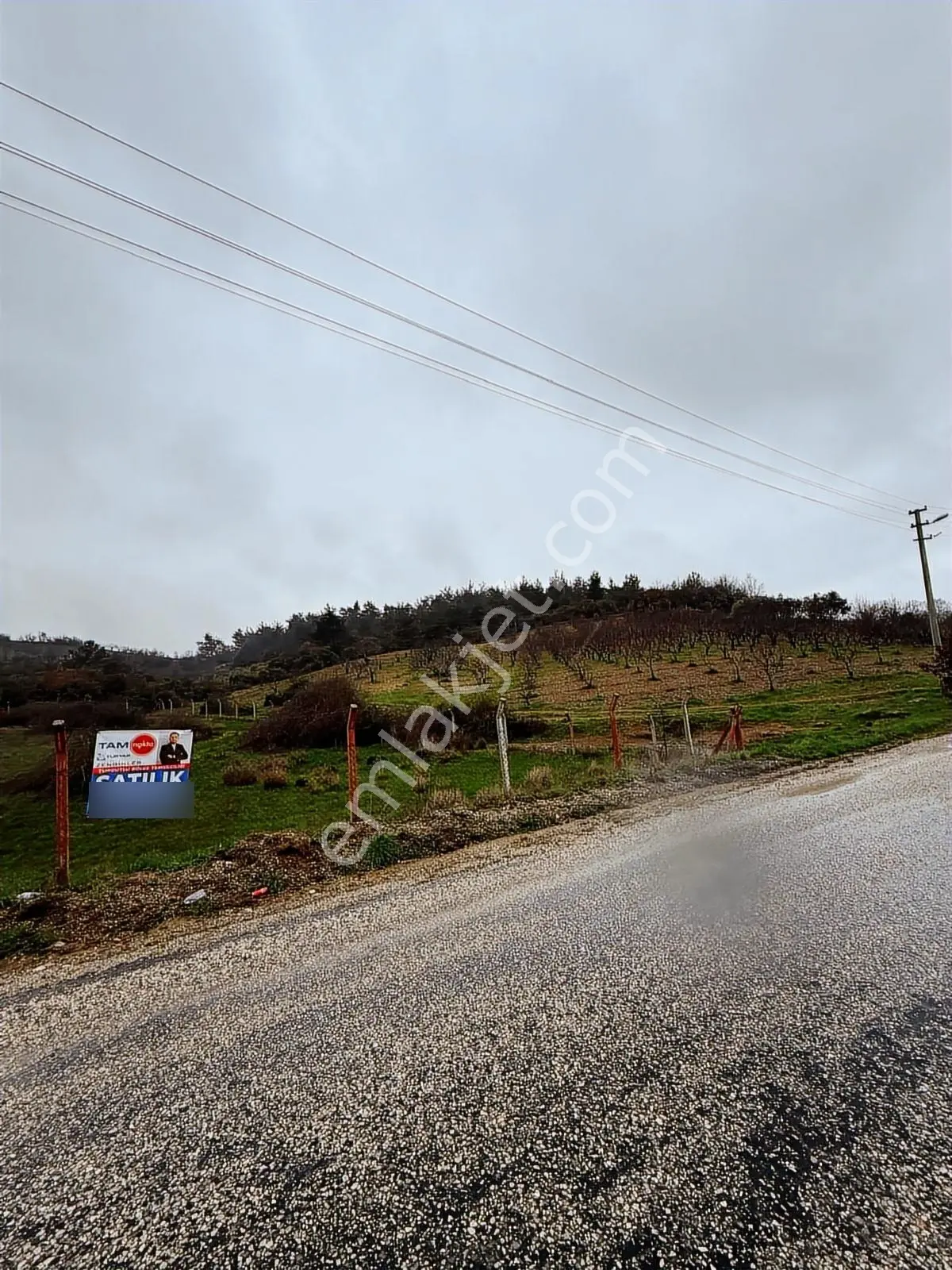 Ayvacık Mahallesinde Satılık! Yol Girişinde Arazi - Görsel 14