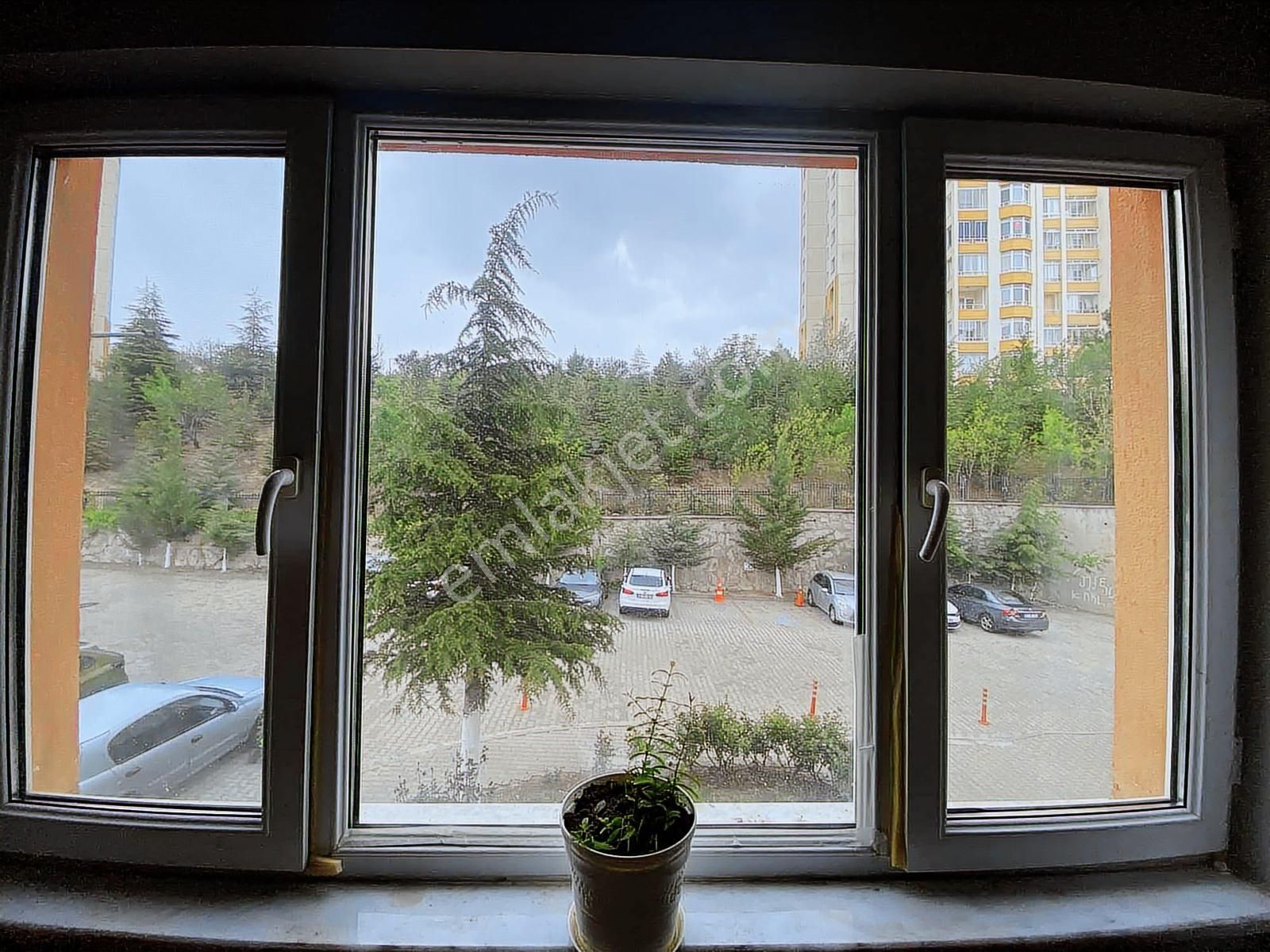 Turkuazda Mutfağı Yapılı Ankastre Setli Temiz Bakımlı 2+1 - Görsel 13