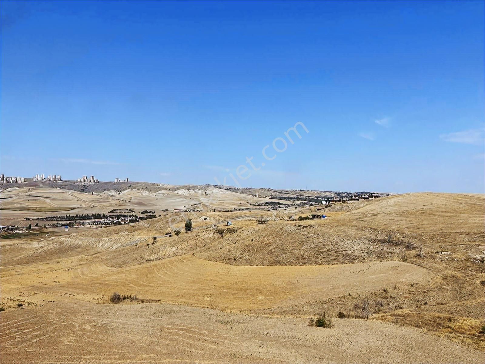 Çankaya Ünı Karşısı Turkuazda Düzgün Eşyalı 2+1 - Görsel 7