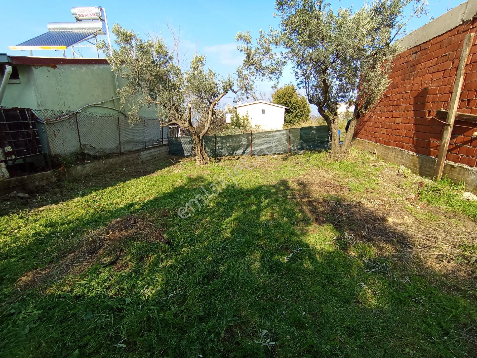 Bursa Mudanya Mesudiye Satılık Arsa - Görsel 13