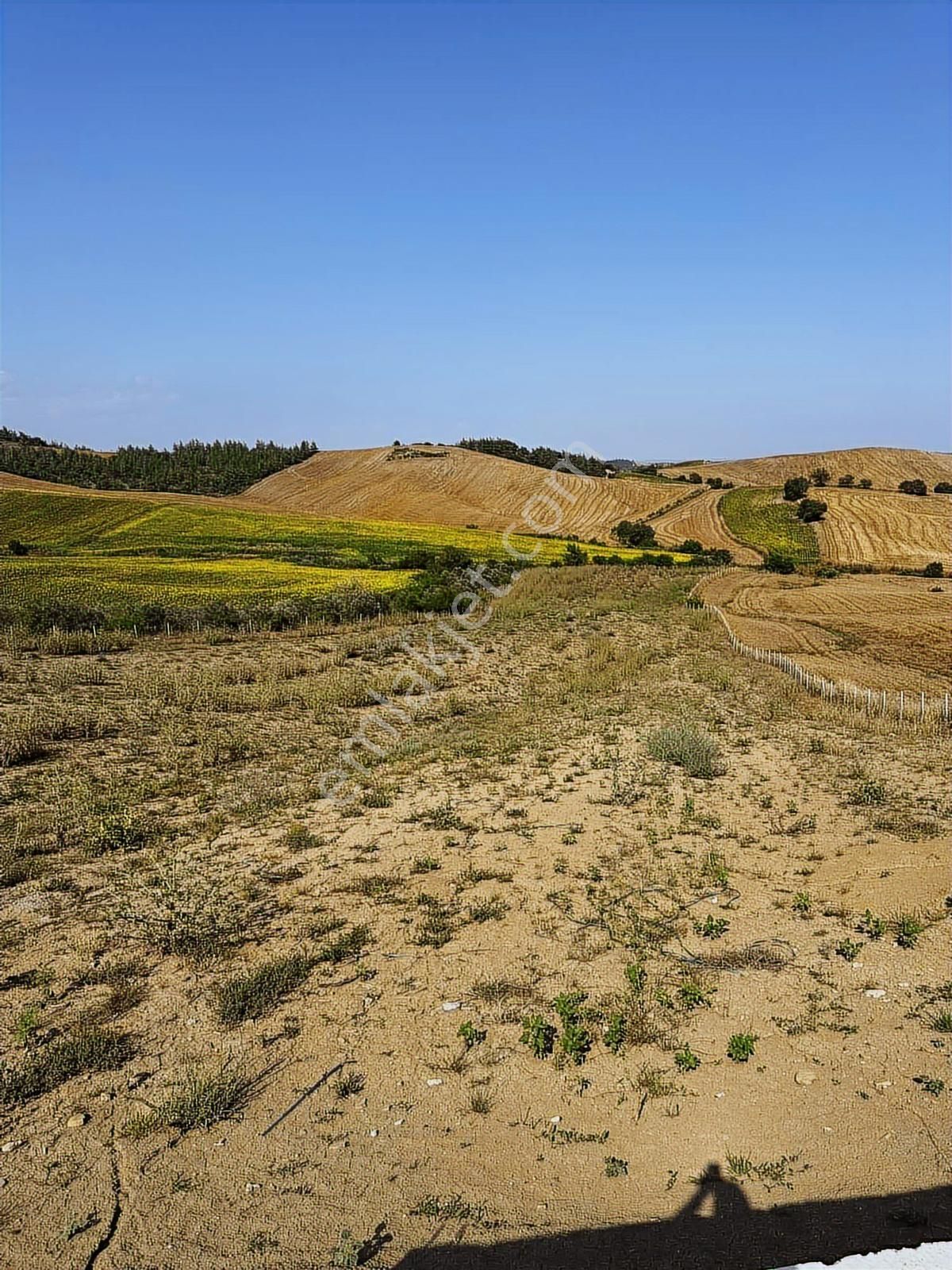 Karaisalı Çakallı Dağılkan Mevki Satılık Tarla