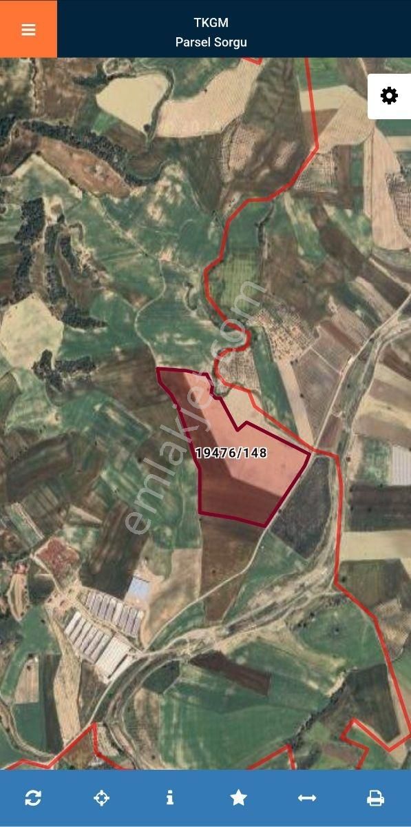 Sarıçam Çirişgediği Köyünde Yol Üzeri Satılık Hisseli Tarla - Görsel 6