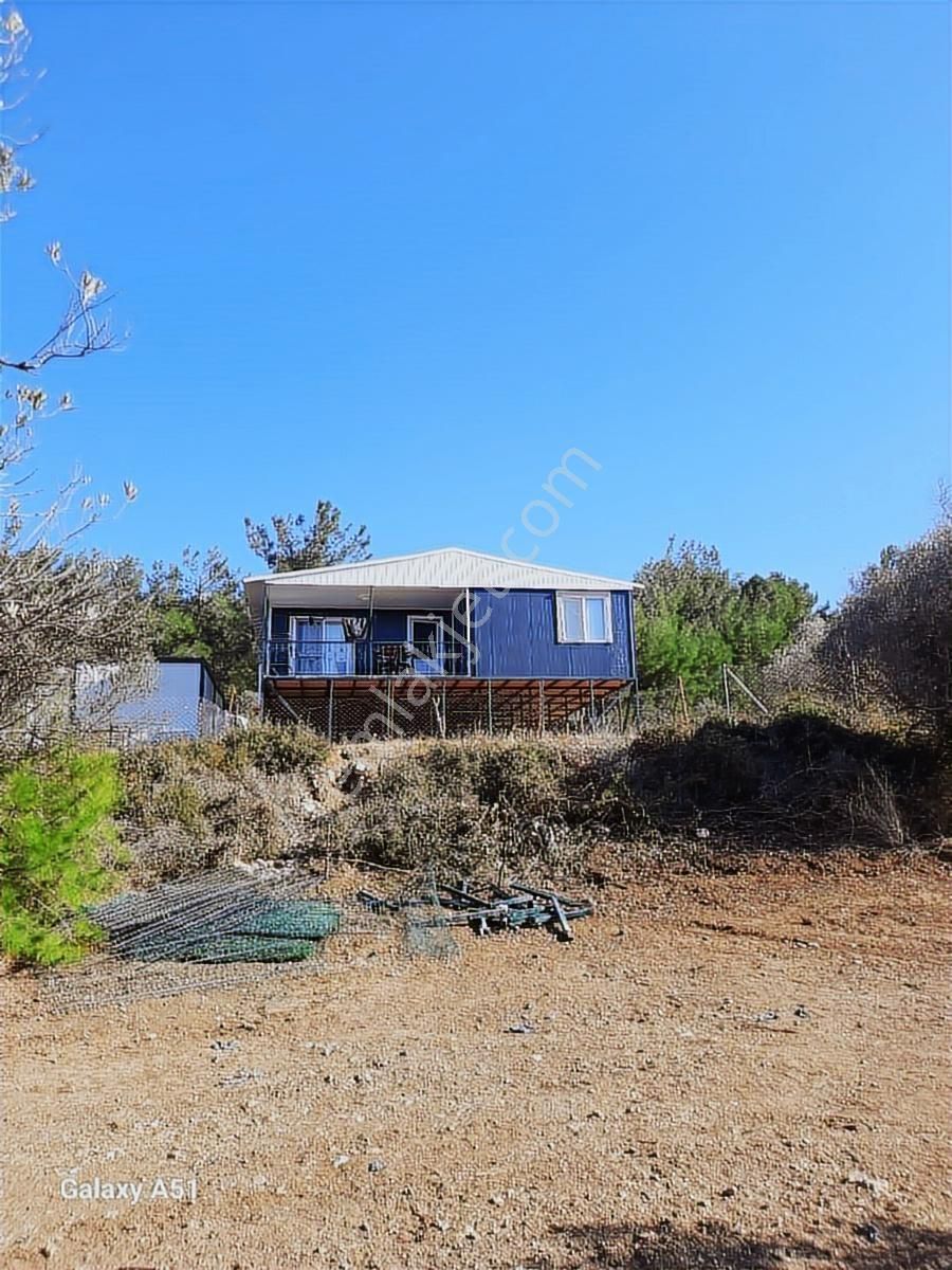 Urla Naipli Mahallesinde Satılık, Hisseli Zeytinlik - Görsel 21