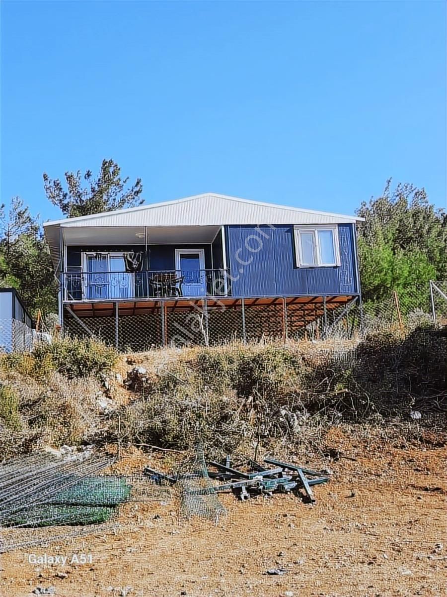 Urla Naipli Mahallesinde Satılık, Hisseli Zeytinlik - Görsel 2