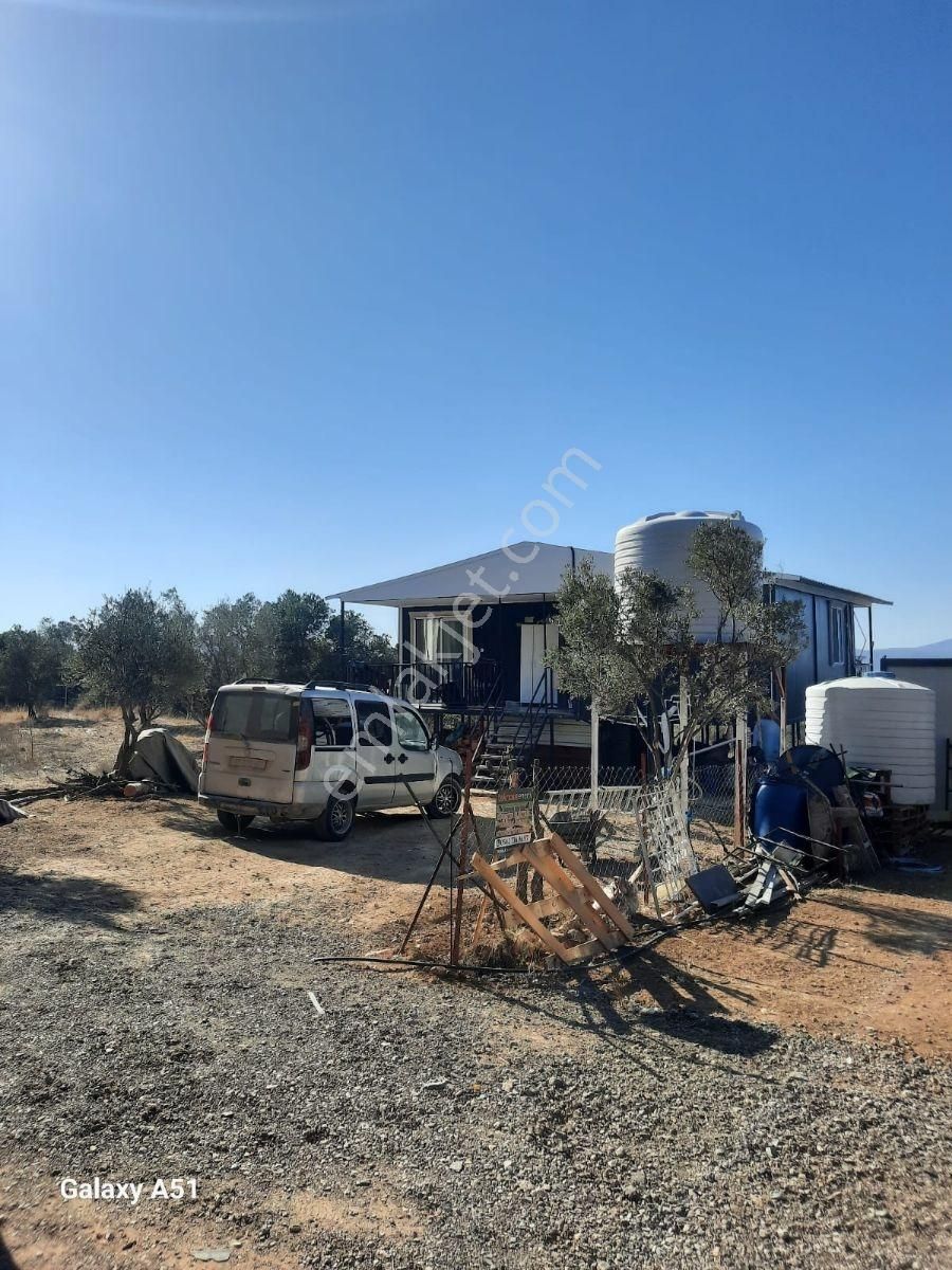 Urla Naipli Mahallesinde Satılık, Hisseli Zeytinlik - Görsel 22