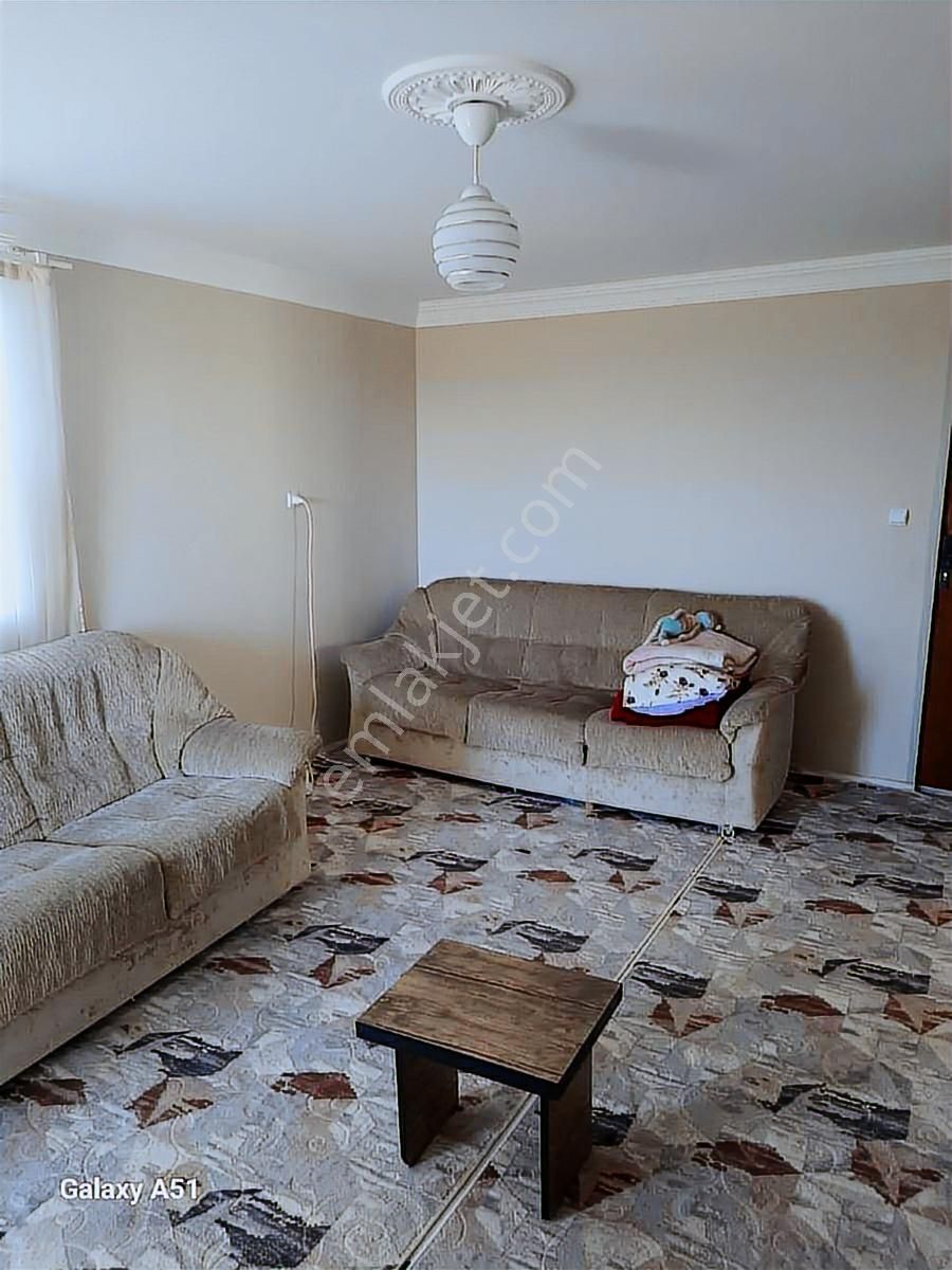 Urla Naipli Mahallesinde Satılık, Hisseli Zeytinlik - Görsel 19