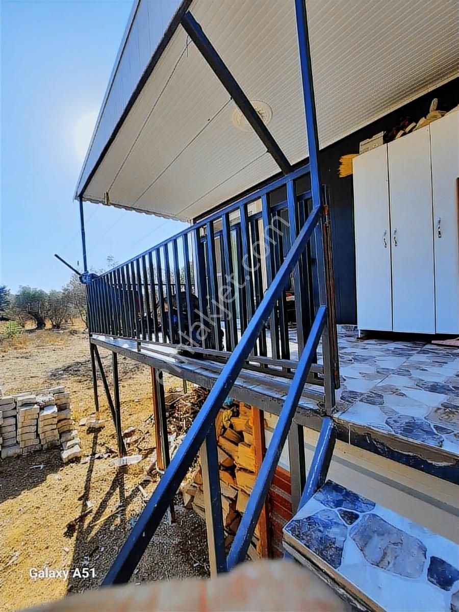 Urla Naipli Mahallesinde Satılık, Hisseli Zeytinlik - Görsel 30