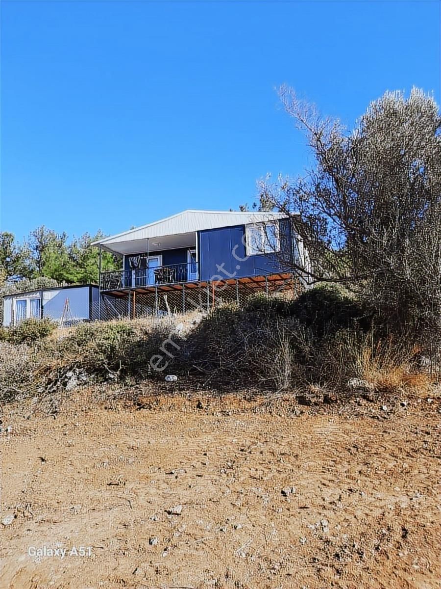 Urla Naipli Mahallesinde Satılık, Hisseli Zeytinlik - Görsel 10