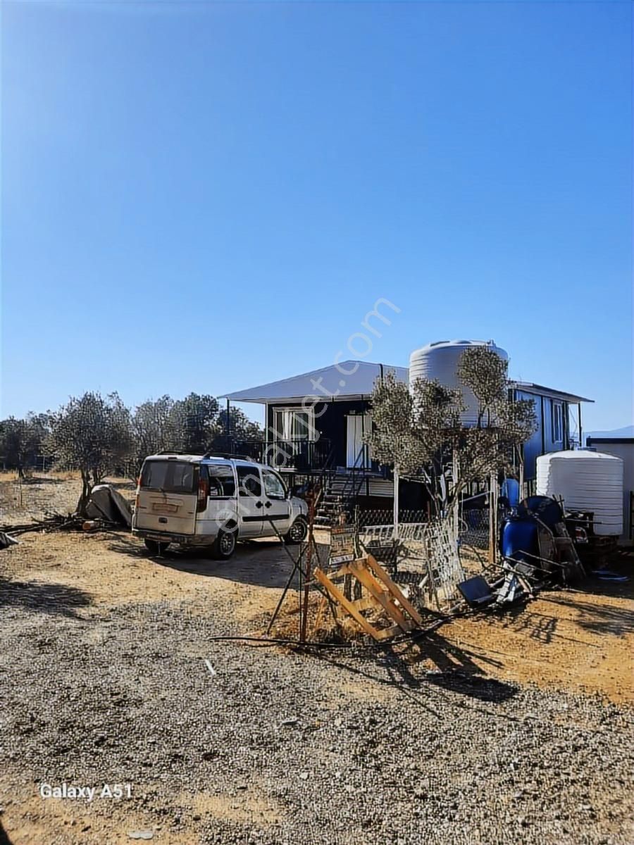 Urla Naipli Mahallesinde Satılık, Hisseli Zeytinlik - Görsel 3