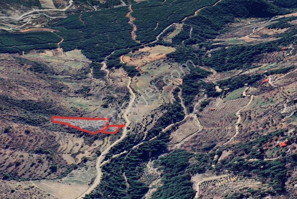 Karatepede Yola Cepheli 8.516 M² Tarla - Görsel 5