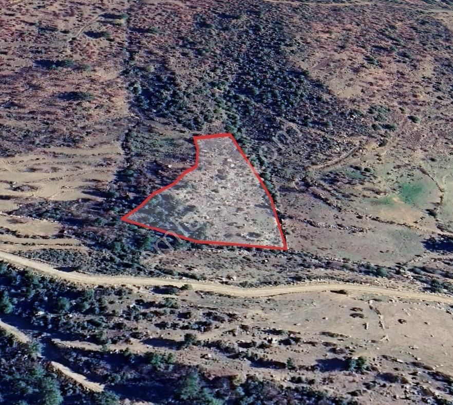 Karatepede Yola Cepheli 8.516 M² Tarla - Görsel 2