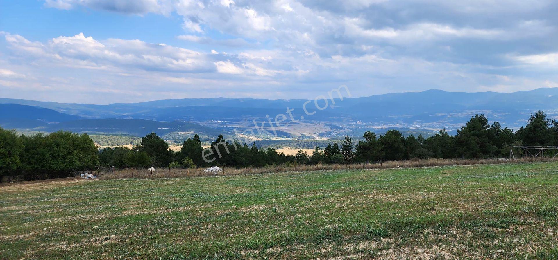 Bolu Merkeze 15km Mesafede Tiny House Tarla - Görsel 8