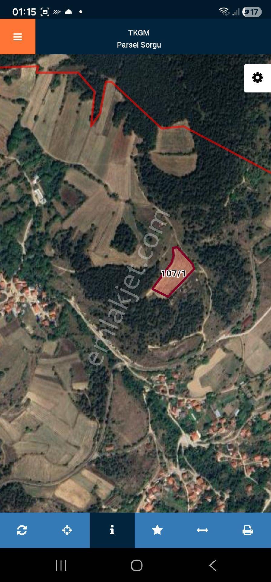Bolu Merkeze 15km Mesafede Tiny House Tarla - Görsel 4