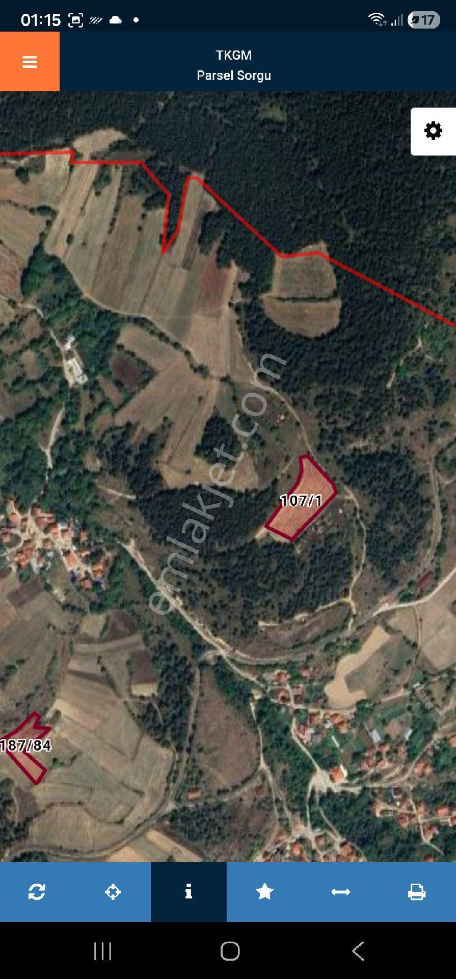 Bolu Merkeze 15km Mesafede Tiny House Tarla - Görsel 3