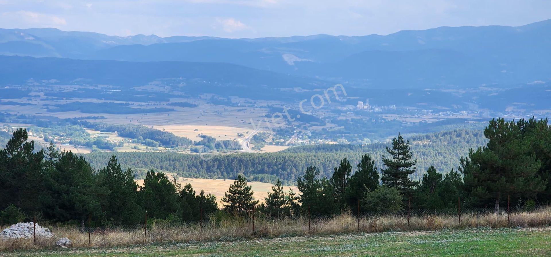 Bolu Merkeze 15km Mesafede Tiny House Tarla - Görsel 7