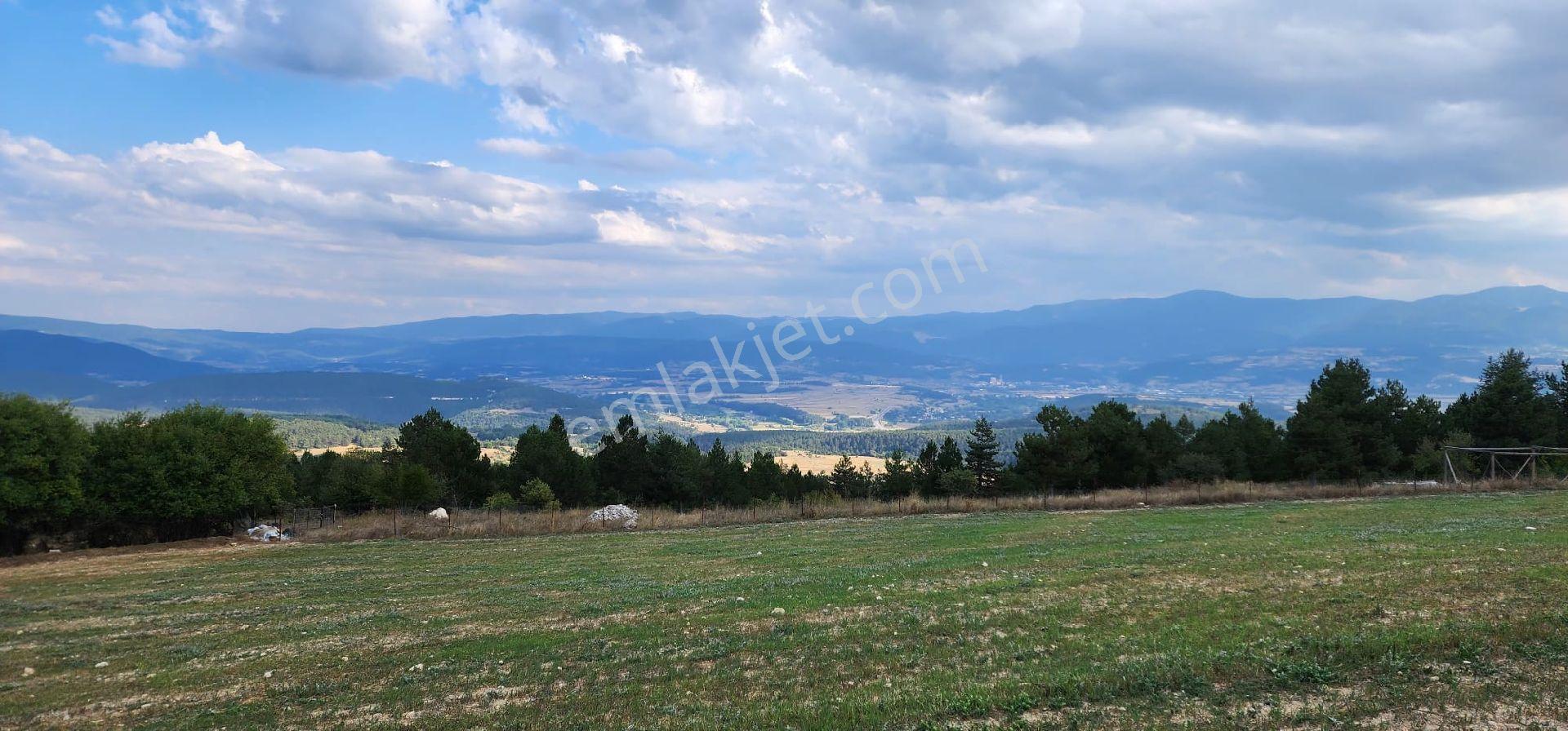 Bolu Merkeze 15km Mesafede Tiny House Tarla - Görsel 9